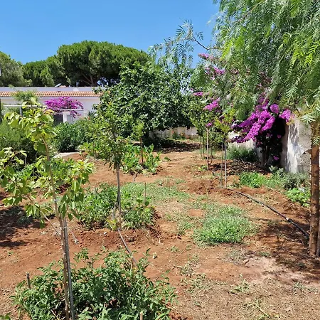 Holiday home Carmela A