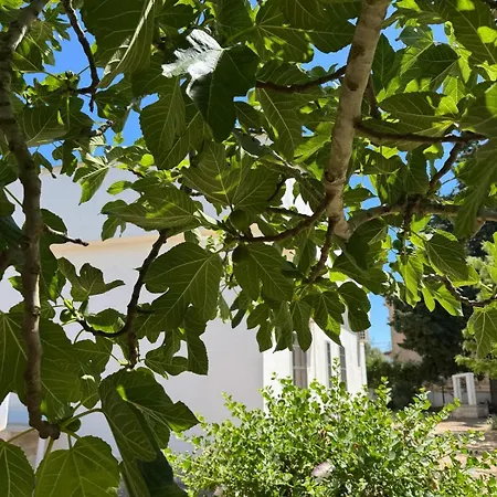 Carmela A Holiday home San Pietro in Bevagna